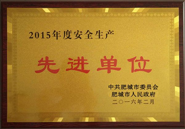 2015年度安全生產(chǎn)單位