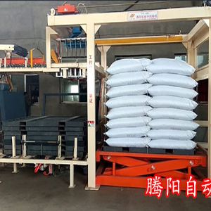 全自動(dòng)碼垛機(jī)械手高位碼垛機(jī)