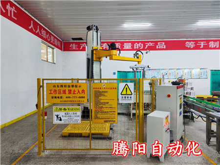 全自動(dòng)箱裝碼垛機(jī)