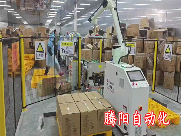 箱裝食品協(xié)作碼垛機(jī)器人