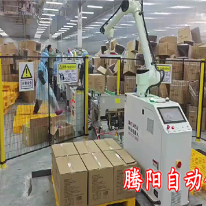 箱裝食品協(xié)作碼垛機(jī)器人改變傳統(tǒng)碼垛