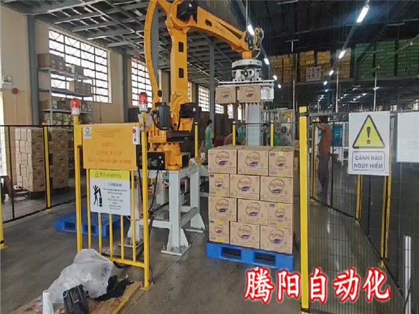 箱裝碼垛機(jī)器人